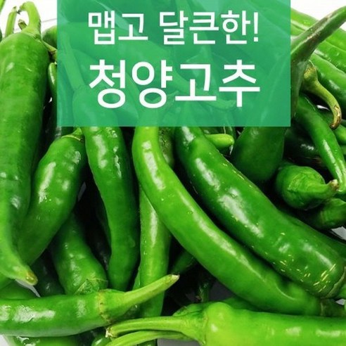 야과몰 맵고 달큰한 청양고추 (3kg), 3kg, 1개