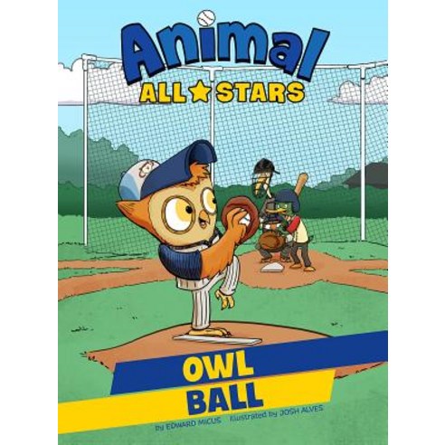 Owl Ball Paperback, Stone Arch Books