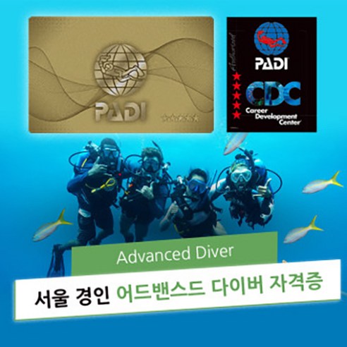 PADI 어드밴스드 스쿠버다이빙 자격증 교육 스킨 스쿠바 과정 강습 코스 [서울 경인], (추가)1:1개인강습