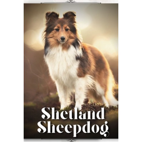 (영문도서) Shetland Sheepdog: Dog breed overview and guide Paperback, Independently Published, English, 9798399351872