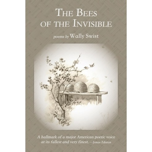 (영문도서) The Bees of the Invisible Paperback, Shanti Arts LLC, English, 9781947067899