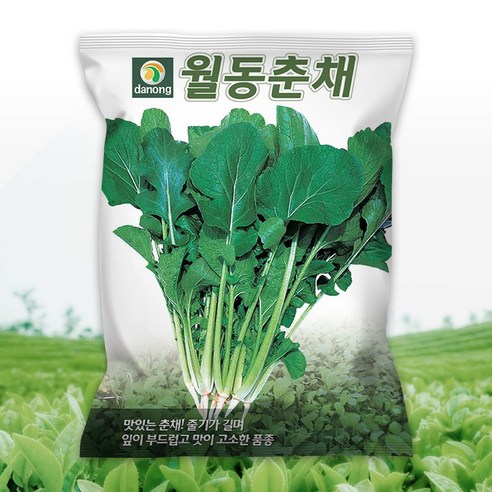 다농 월동춘채 씨앗 500g 월동채소 춘채 순무유채씨 종자, 1개