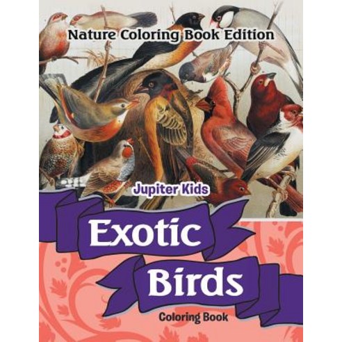 Exotic Birds Coloring Book: Nature Coloring Book Edition Paperback, Jupiter Kids, English, 9781683056607
