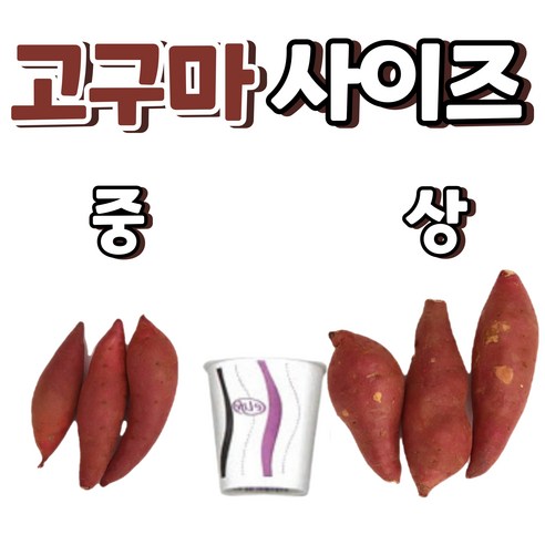 꿀고구마중 상 3kg 5kg 10kg 선택가능, 1박스, 꿀고구마3kg(중)70~100g