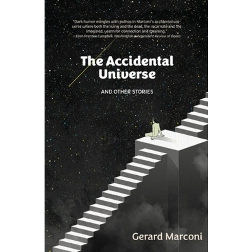 (영문도서) The Accidental Universe and Other Stories Paperback, Loyola College/Apprentice H..., English, 9781627204750