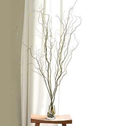 곱슬버들 생화 그린 소재: 스타일과 기능성의 완벽한 조화