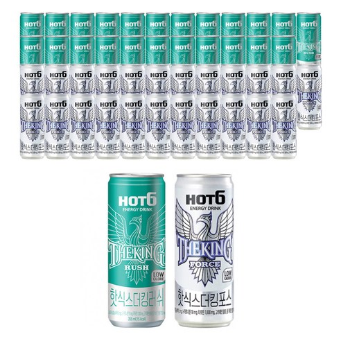 핫식스 더킹 355ml 러쉬 24캔+포스 24캔, 총 48캔
