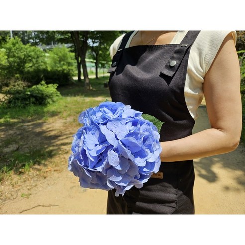 [오케이나우ㅣ강추] 유스풀몰의 수국 꽃다발이 선사하는 화사함과 향기 [OKNOWㅣ추천상품]