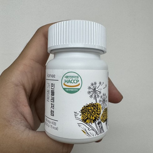 [본사정품] 카미 가벼운민들레처럼 브로멜라인 kamee 사은품, 450mg, 1개