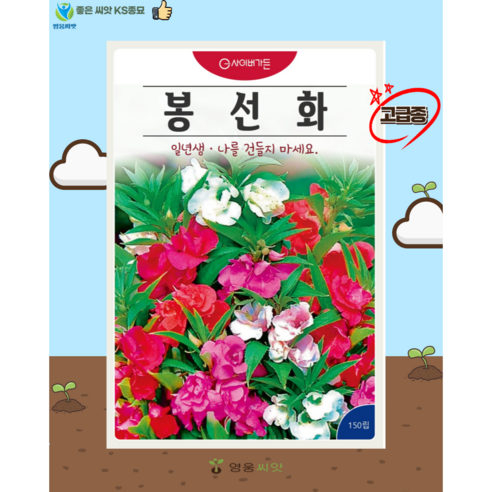 봉선화 혼합 씨앗(150립) 꽃씨 종묘 종자 씨 영웅 KS, 1개