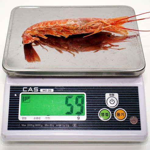 아르헨티나에서 직송되는 고품질 홍새우, 신선도와 영양가가 뛰어난 프리미엄 식재료