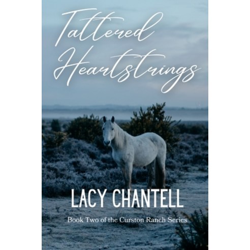 (영문도서) Tattered Heartstrings Paperback, Lacy Chantell, English, 9781088210376