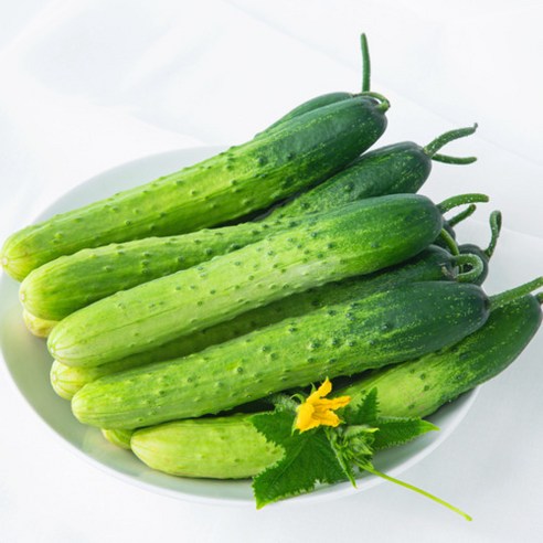 국내산 백오이 백다다기오이 오이지 김치 피클, 1박스, 2kg