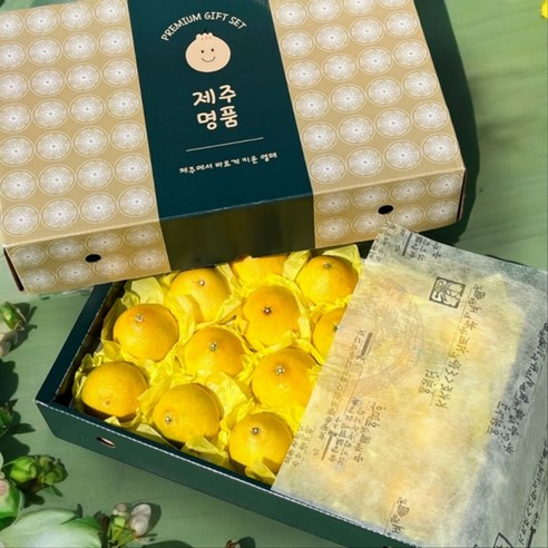 [프리미엄] 제주 산지직송 황금향 선물용 가정용, 1개, 3kg(가정용)