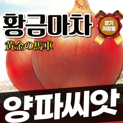 양파 씨앗 종자 장기 저장용 양파 다수확 품종 황금마차 10g, 1개