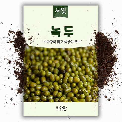 녹두 씨앗(30g), 1개 녹두값