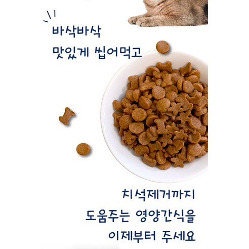 캣퓨어 딜리셔스 스낵: 맛과 건강, 냥이를 위한 최고의 선택!