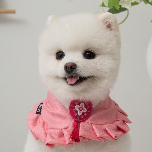 베일리 강아지 반려동물 한복 케이프 스카프, 1개, 소담진달래
