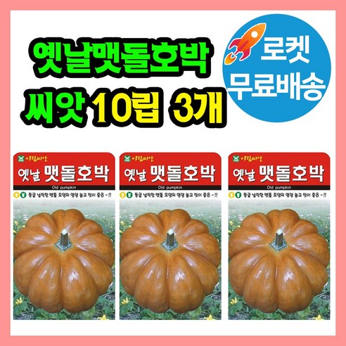 옛날맷돌 호박 씨앗 호박씨 늙은호박 호박씨앗, 3개