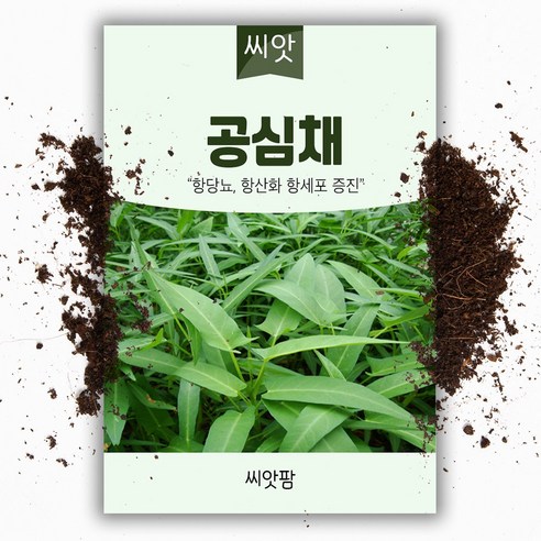 공심채 씨앗 (10g) 동남아 아열대 채소, 1개 공심채 씨앗 (10g) 동남아 아열대 채소, 1개