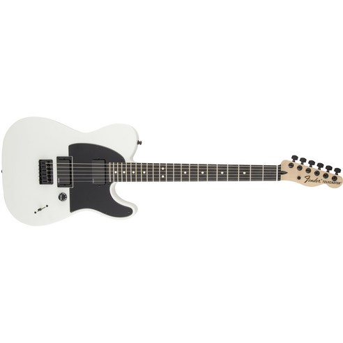 Fender 펜더 일렉트릭 기타 JIM ROOT TELECASTER WHT