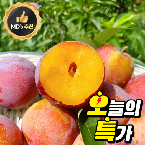 <첫출하초특가>마트납품용 새콤달콤 하우스 자두 대석, 1박스, 500g