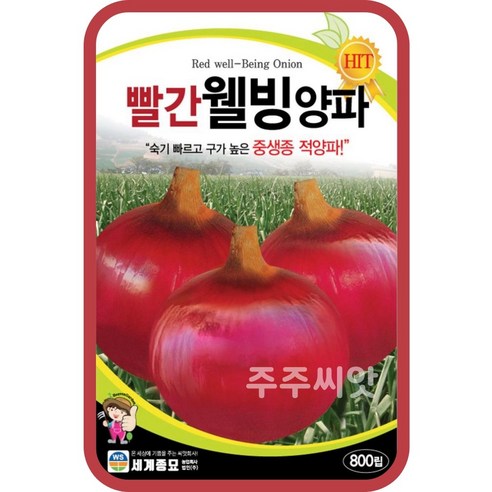 빨간웰빙양파 씨앗 800립 / 적양파 빨강 채소 종자 김장재료 텃밭가꾸기 주말농장, 1개