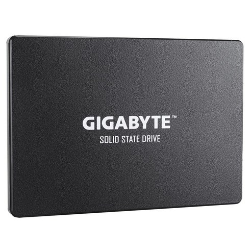 기가바이트 SSD, GP-GSTFS31100TNTD, 1TB