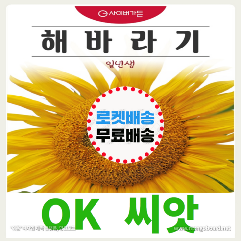 [OK씨앗] [해바라기] 해바라기씨앗 종자(오케이씨앗), 40립