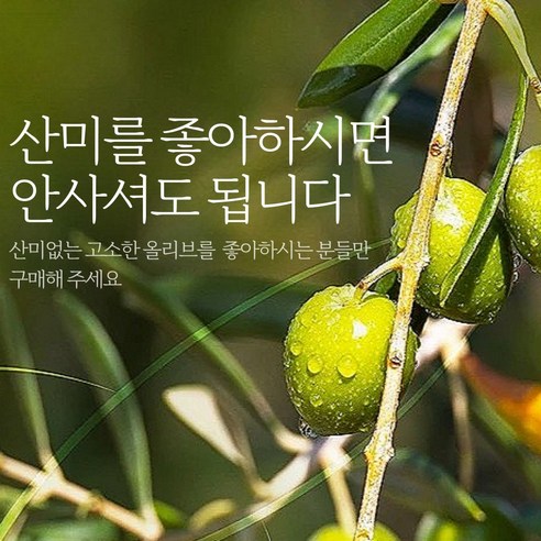 고소한 올리브절임으로 새로운 맛의 경험을!