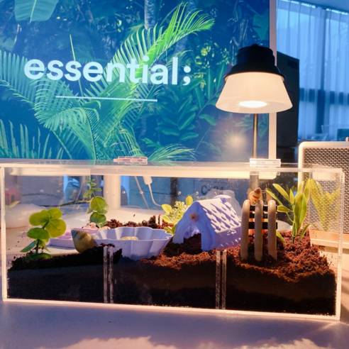 달팽이 전용 아크릴 케이스 집 대형 사육장: 귀여운 친구를 위한 최적의 공간