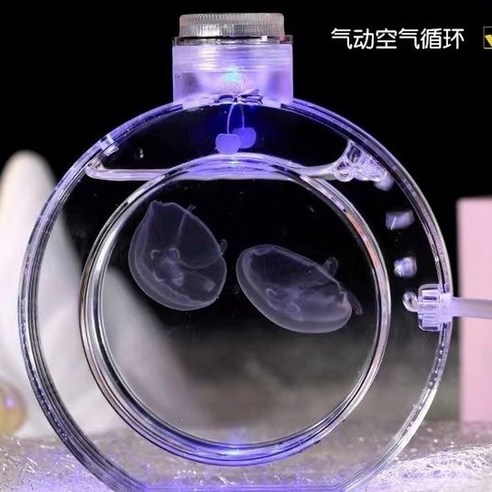 나만의 해양 세계를 만들어보세요!