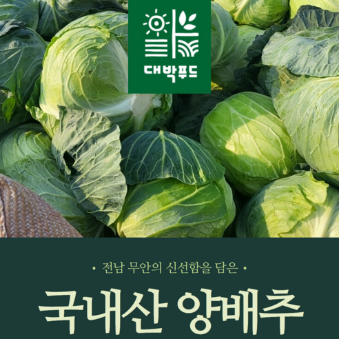 [대박푸드] 국내산 무안 양배추 (2kg 3kg 6kg) 이내 깐양배추 (1개 2개 3개) - 양배추 | 쿠팡