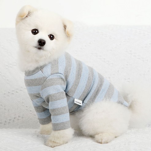 럭키페터 베이직 스프라이프 강아지 옷 소형견 대형견 티셔츠 실내복 강아지 내복, 블루/그레이