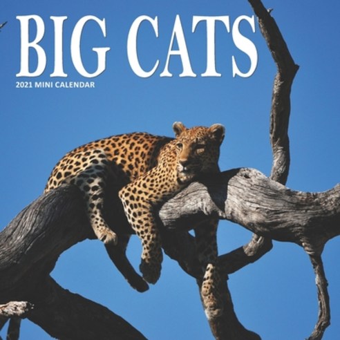 Big Cats: 2021 Mini Wall Calendar Paperback, Independently Published, English, 9798565368062