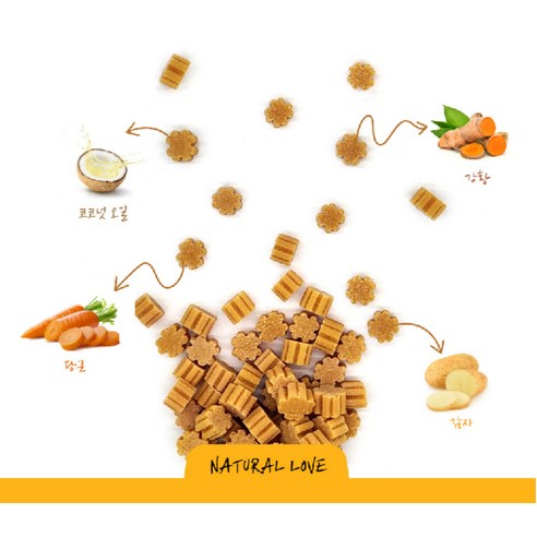 반려견을 위한 건강한 비건 간식