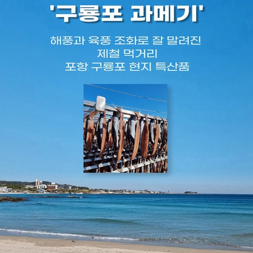 구룡포 꽁치과메기+야채세트 5미 10미 20미, 반손질진공 5미