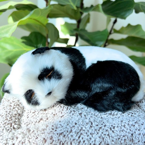 MAYNO 나노활성탄 다용도 장식품, 1개, Panda