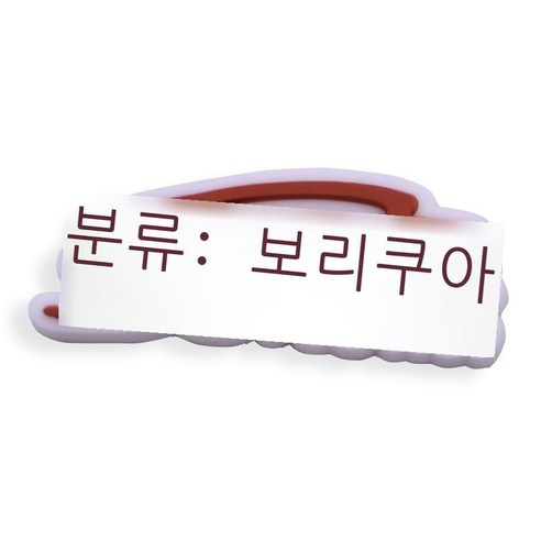 PR 시리즈 동동 신발 꽃신 단추 화원 신발 손목끈 신발 액세서리, 19