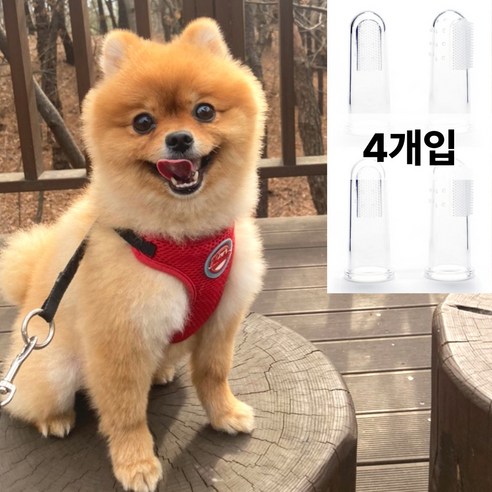 멍티케어 부드러운 실리콘 손가락 강아지 칫솔, 4개입, 화이트
