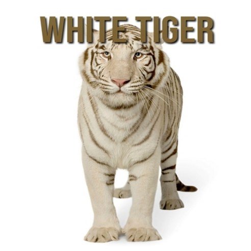 White Tiger: Amazing White Tiger Pictures Book for kids Paperback, Independently Published