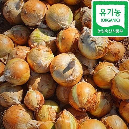 전라도 유기농 양파 5kg 10kg, 1개