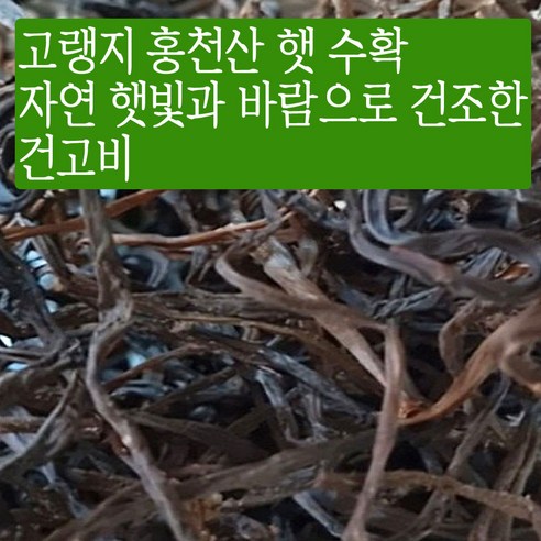 국산 햇 나물 강원도 홍천 산지직송 건 고비나물 100g 자연 바람 햇볕 재배 말린 고비 건조한 고비나물 정월대보름나물, 1개 울릉도특산물 국산 햇 나물 강원도 홍천 산지직송 건 고비나물 100g 자연 바람 햇볕 재배 말린 고비 건조한 고비나물 정월대보름나물, 1개 울릉도특산물