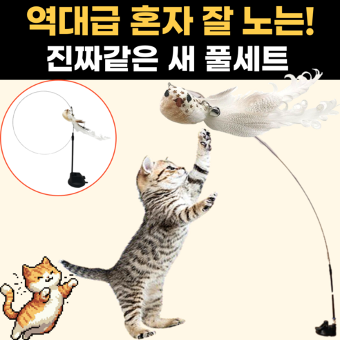 스마일플로우 진짜같은 새 고양이 최애 풀세트 튼튼 고정 낚시대 장난감, 1세트, 골져스 새