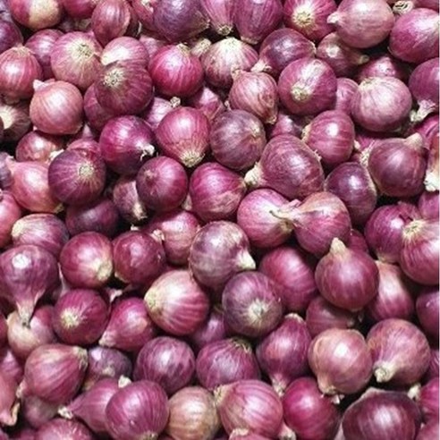 샬롯 (Shallot), 2kg, 1팩