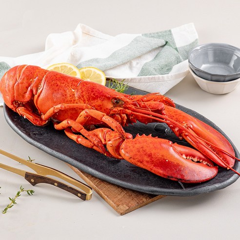 바다대로 신선한 냉동 랍스터 캐나다 자숙 랍스터, 10개, 400~450g