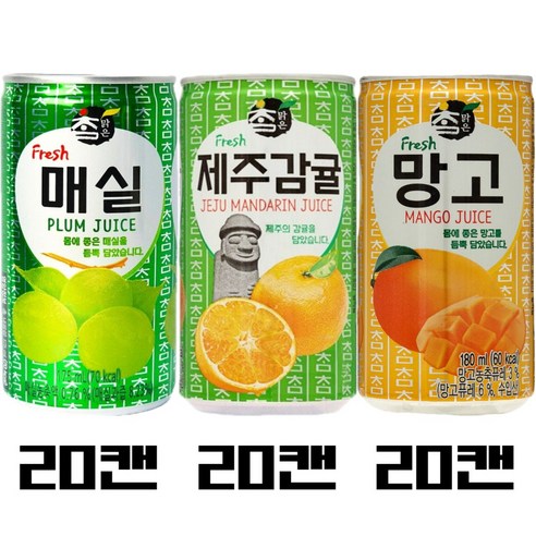 대일 참맑은 업소용 캔음료 175ml 3종 20캔씩(매실20 제주감귤20 망고20), 1세트