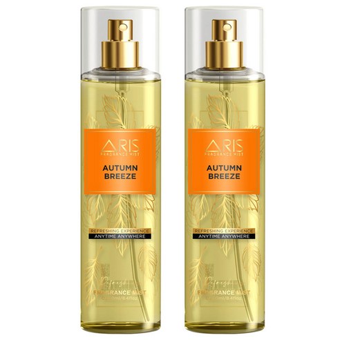 아리스 바디 미스트 어텀 브리즈, 2개, 250ml