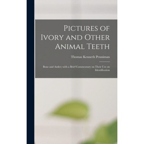 (영문도서) Pictures of Ivory and Other Animal Teeth: Bone and Antler; With a Brief Commentary on Their U... Hardcover, Hassell Street Press, English, 9781013603976