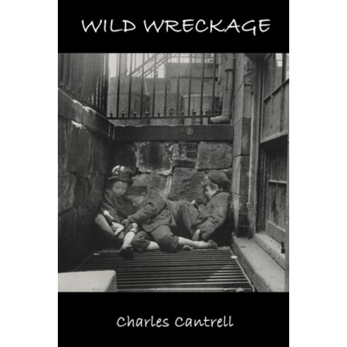 Wild Wreckage Paperback, Cervena Barva Press
